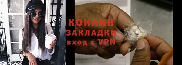 сатива Мегион