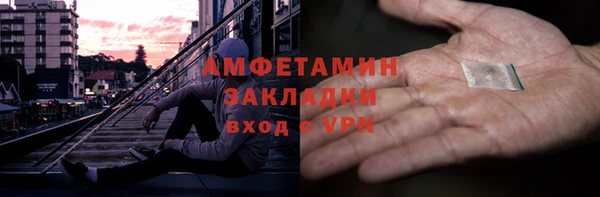 шишки Медвежьегорск