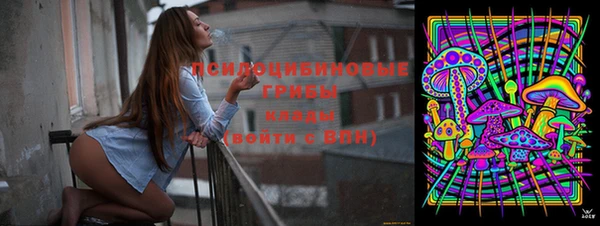 сатива Мегион