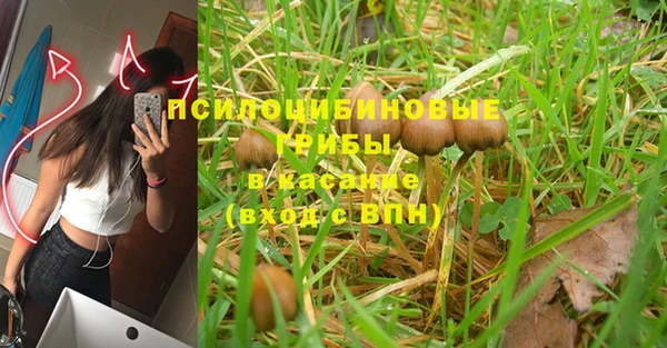 сатива Мегион