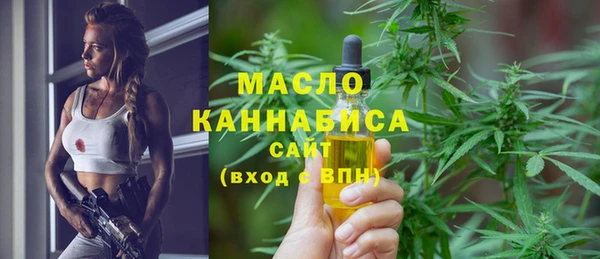 шишки Медвежьегорск